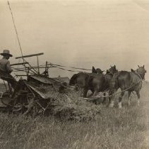 Omc1985.008.058 Image 600dpi